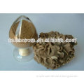 maitake (Grifola frondosa ) extract, organic certificate,GMP/HACCPcertification